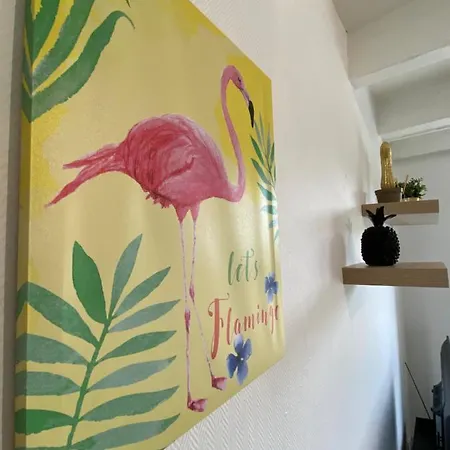 Les Cosy De - Le Duplex Aux Flammants Roses - 4etoiles Lägenhet *