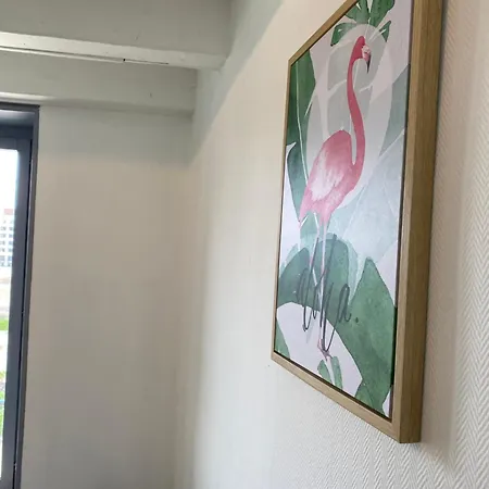 Les Cosy De - Le Duplex Aux Flammants Roses - 4etoiles Nancy