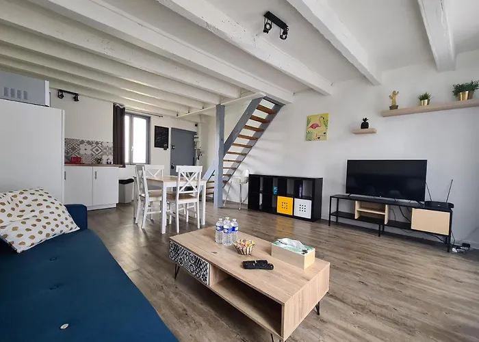 Apartament Les Cosy De - Le Duplex Aux Flammants Roses - 4etoiles