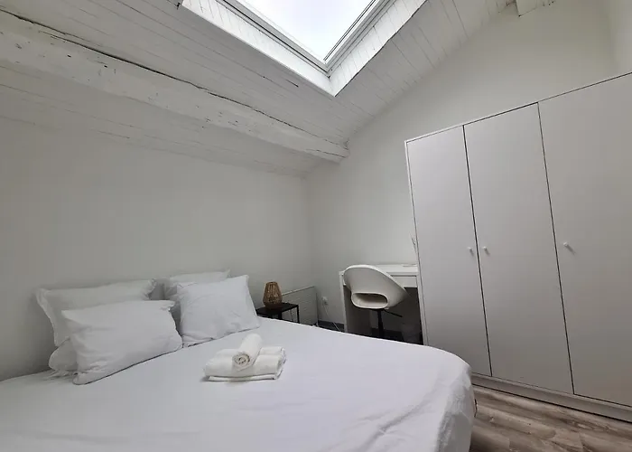 Apartament Les Cosy De - Le Duplex Aux Flammants Roses - 4etoiles