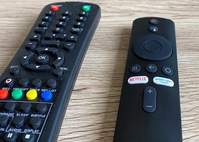 Les Cosy De - Le Duplex Aux Flammants Roses - 4etoiles Nancy